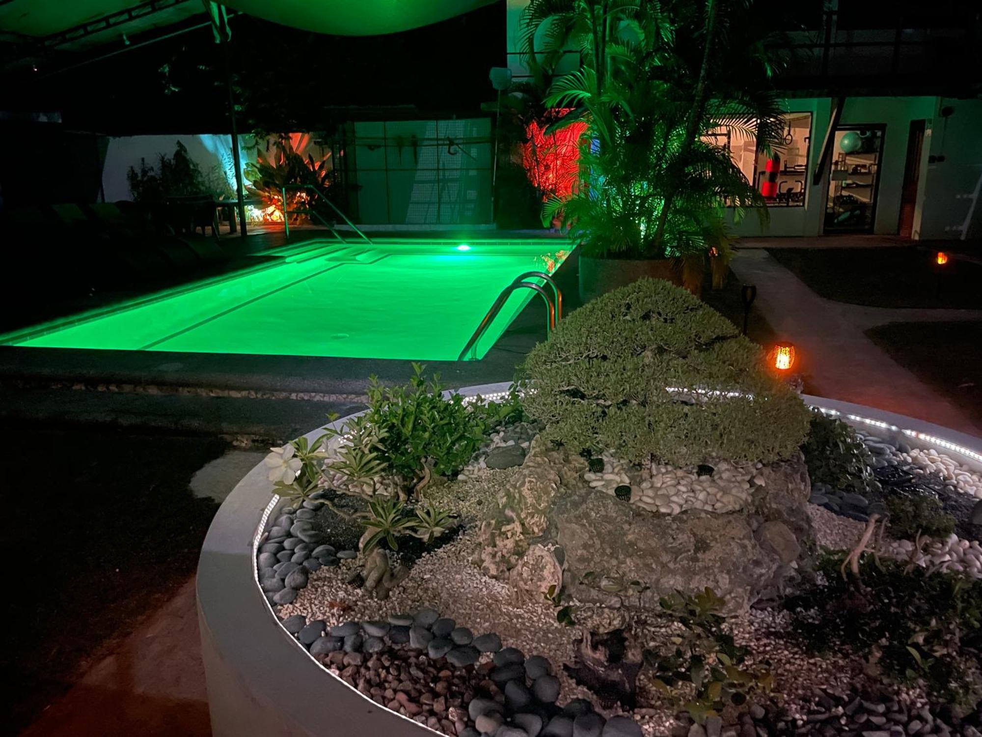 Parrot Resort Moalboal Εξωτερικό φωτογραφία
