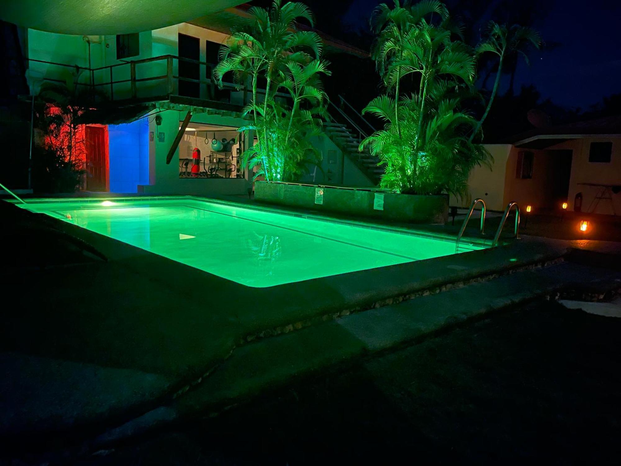 Parrot Resort Moalboal Εξωτερικό φωτογραφία